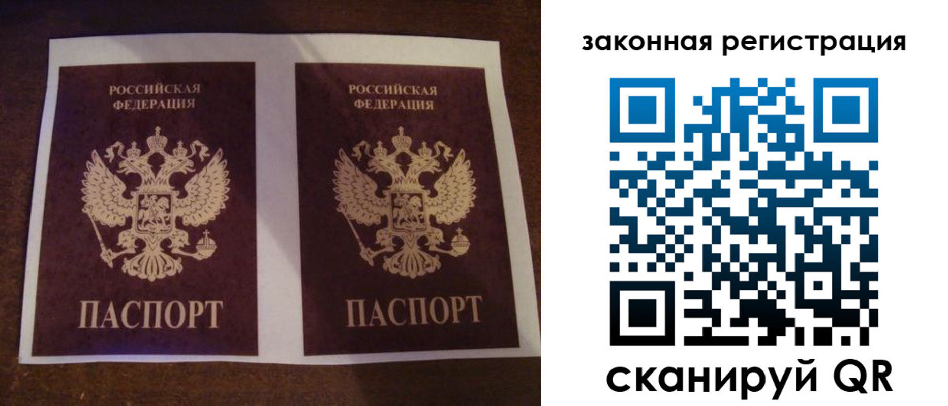 прописка иностранных граждан в Калининградской области